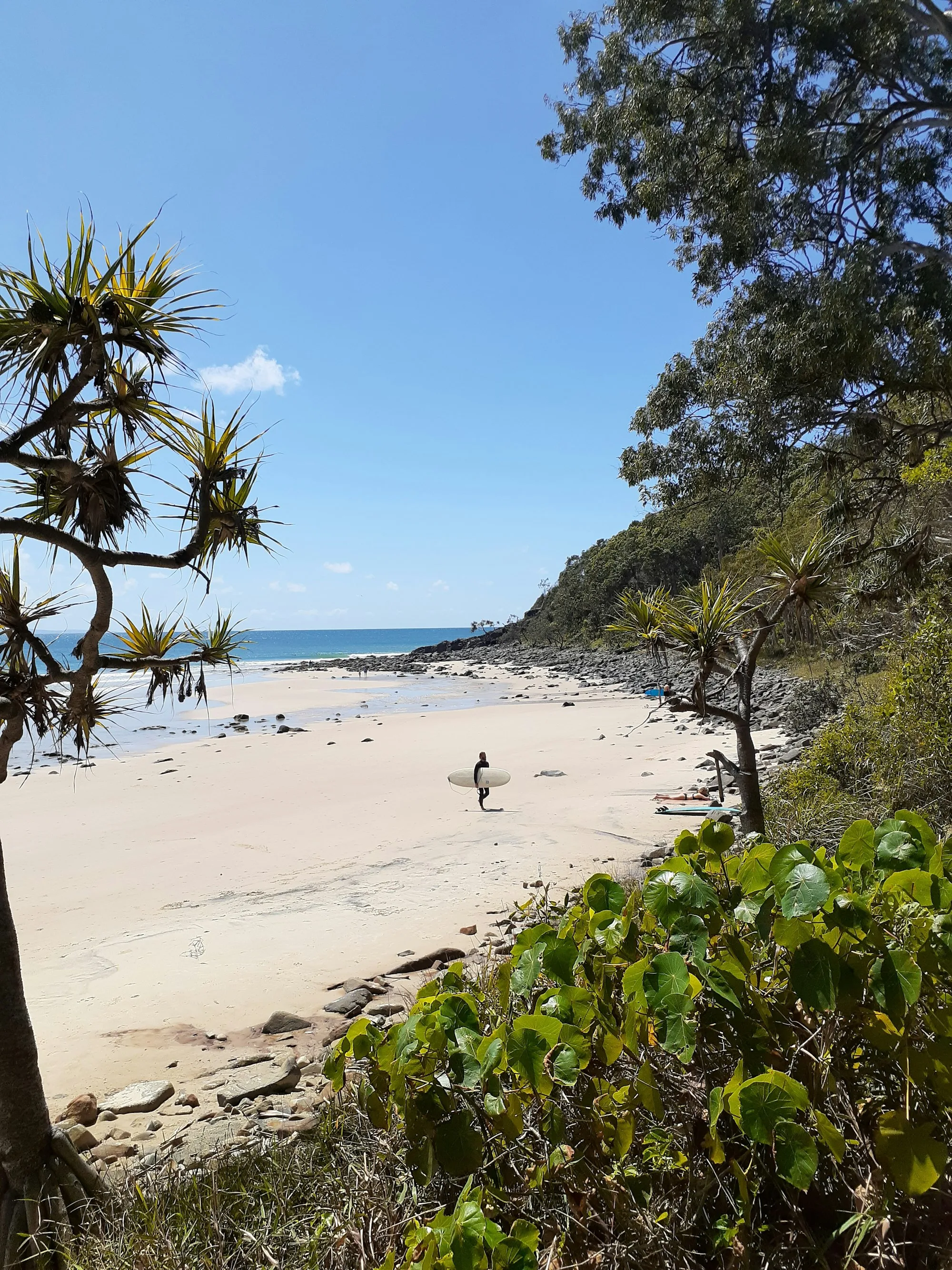 A lone surfer carrying a board across a quiet cove, framed by pandanus palms and coastal scrub